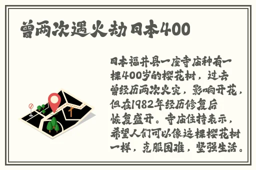 原神心海腿法娴熟脚法部下
